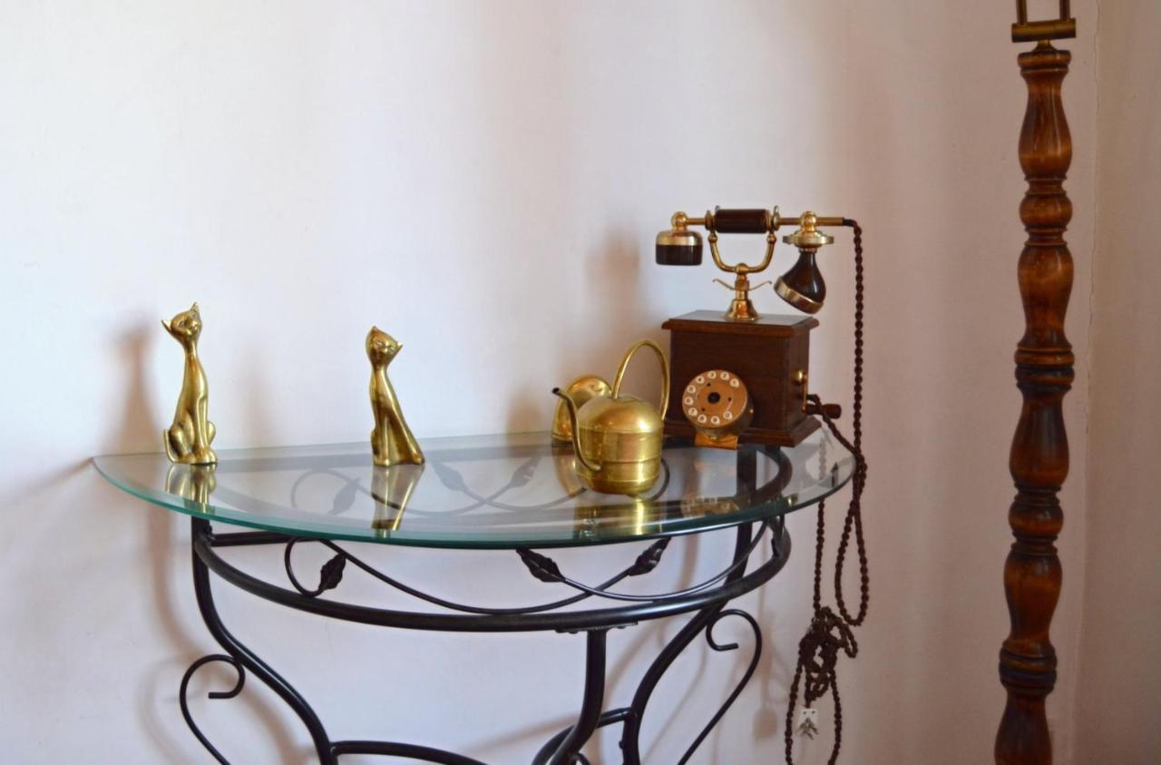 Comme Chez Mamie Albi - Terrasse - Proche Centre 아파트 외부 사진